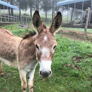 Meet your Posher, Mary